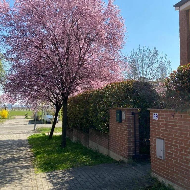 Suite Travel Home Modena Exterior foto